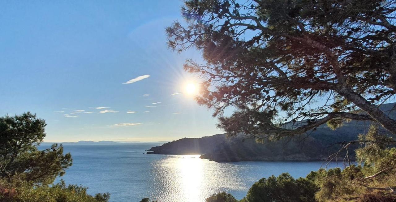 Beautiful Apartment 75M2 With View At The Beach, Pool, Parking Roses Extérieur photo